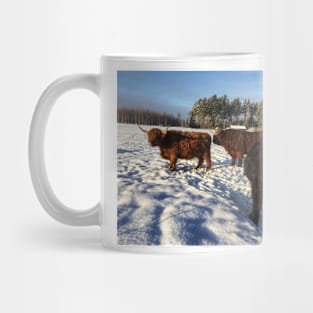 Scottish Highland Cattle Bulls 1662 Mug